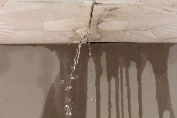 Professional Burst Pipe Cleanup technician working in Blissfield, MI